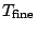 $ T_{\mathrm{fine}}$