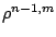 $ \rho^{n-1,m}$