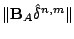 $ \Vert\mathbf{B}_A\hat{\delta}^{n,m}\Vert$