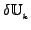$ \delta \mathbb{U}_{_k} $
