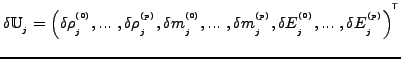 $ \delta \mathbb{U}_{_{j}}=\left( \delta
\rho_{_j}^{^{(0)}}, ...~, \delta \rho_{...
...(p)}}, \delta E_{_j}^{^{(0)}},
...~, \delta E_{_j}^{^{(p)}} \right)^{^{\sf T}} $