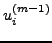 $ u_i^{(m-1)}$