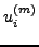 $ u_i^{(m)}$