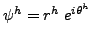 $ \psi^h = r^h \hspace{1mm} e^{i \theta^h}$