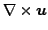 $ \nabla
\times \boldsymbol{u}$