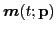 $ \boldsymbol{m}(t; \mathbf{p})$