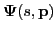 $ \boldsymbol{\Psi}(s, \mathbf{p})$