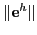 $ \Vert{\bf e}^h \Vert$