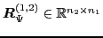 $ \vec{R}_{\Psi}^{(1,2)}\in\mathbb{R}^{n_{2}\times n_{1}}$